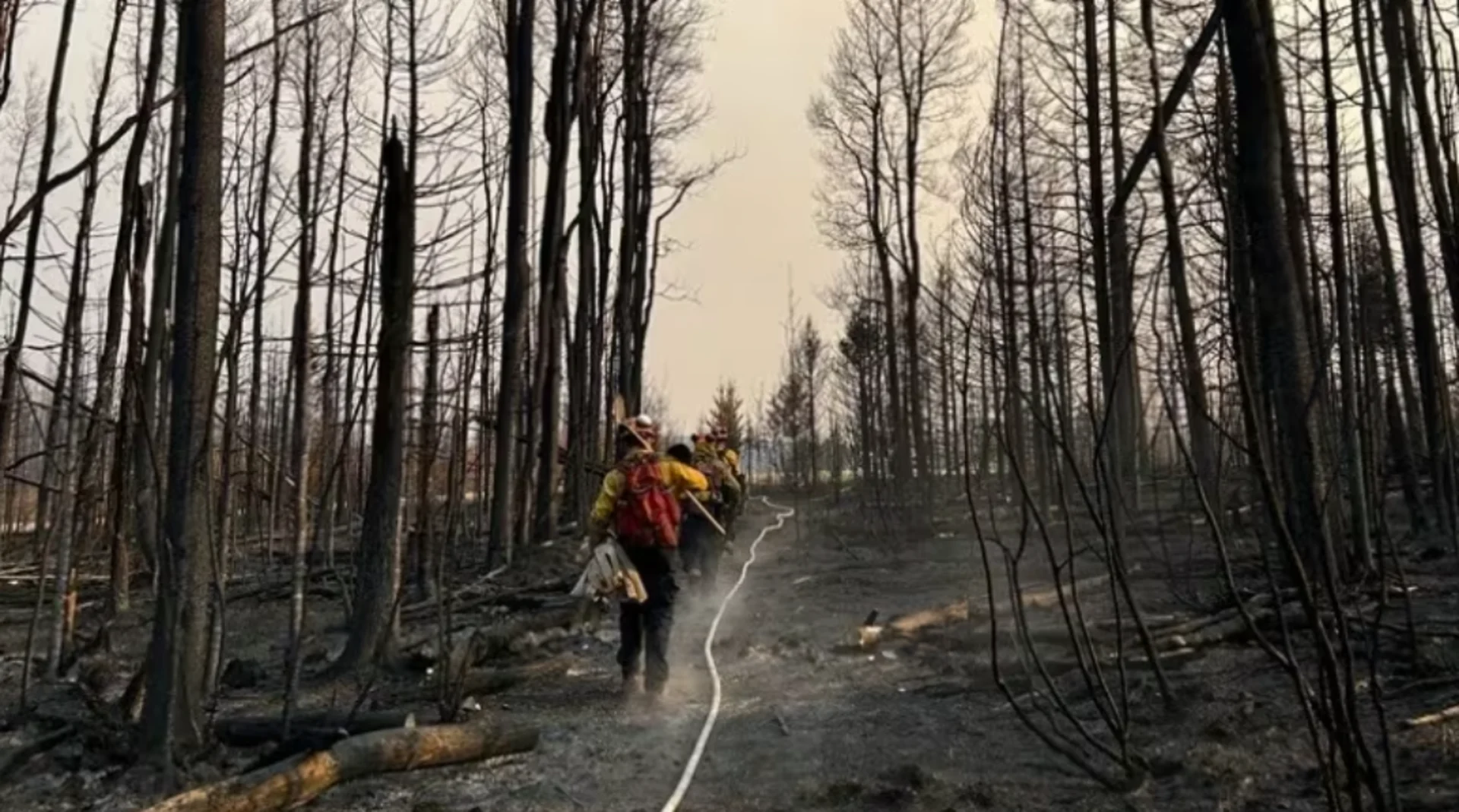 Alberta to fully staff wildfire crew earlier following a record-breaking season