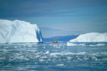 Les glaces du Groenland perdent des milliards de tonnes d'eau en à peine 72 h