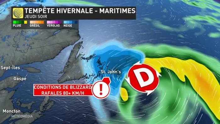 COND BLIZZARD