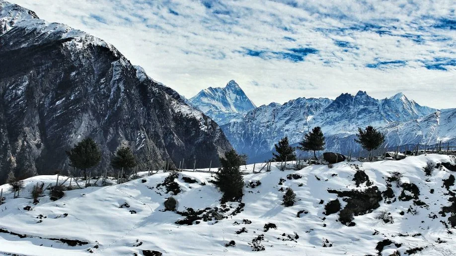 The 1991 Uttarkashi earthquake caused max intensity shaking — impacted 300,000