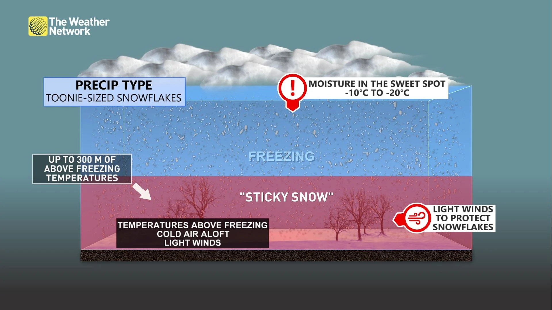 STICKYSNOW