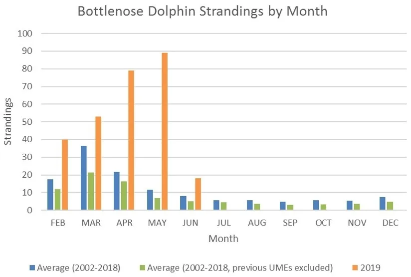 dolphin stranding NOAA