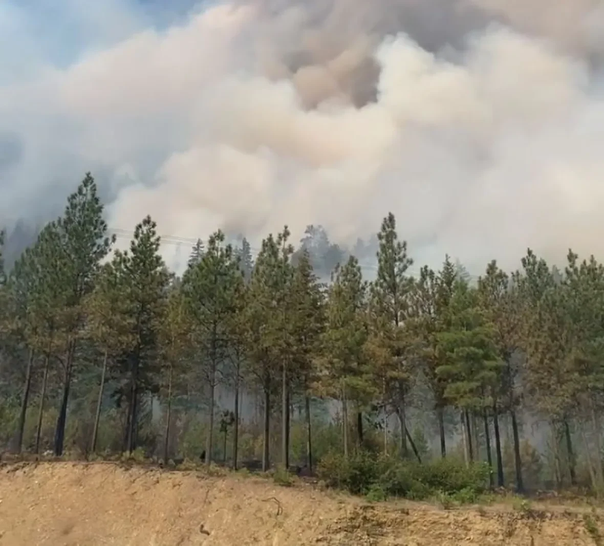 wildfire-burns-near-lytton-b-c-on-friday-july-15-2022/B.C. Wildfire Service/Twitter via CBC