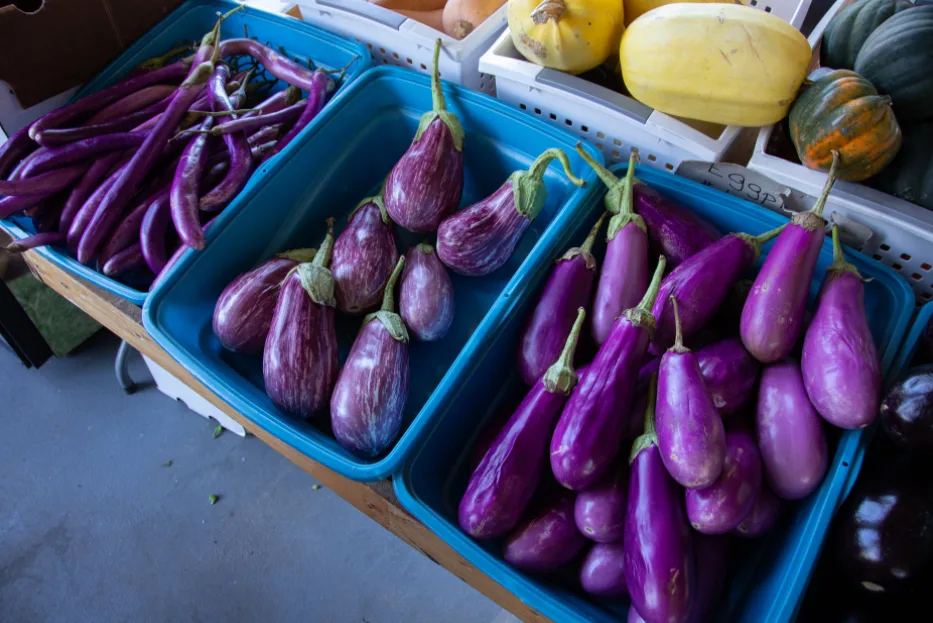 Eggplant - Pexels - John Lambeth