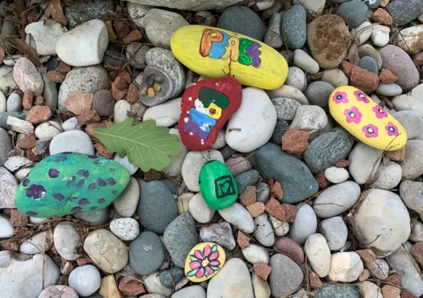 This province doesn’t want painted rocks left behind in parks, here’s why