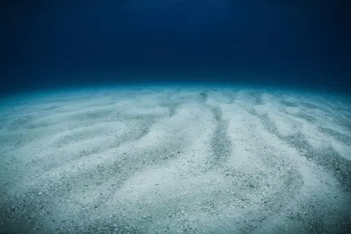 Ocean floor/Getty Images/Jovana Milanko/467304999-170667a