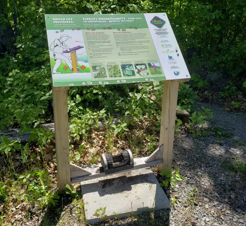 CBC: The council has installed some boot cleaning stations across the province, including this one at Hyla Park, installed in partnership with the Nature Trust of New Brunswick. (Submitted by New Brunswick Invasive Species Council)
