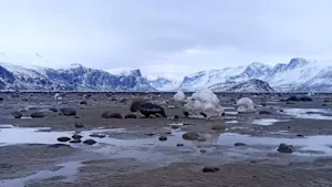 Digging for clams in January? It happened in this part of Canada