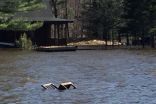 Flood emergency continues for Ontario's cottage country