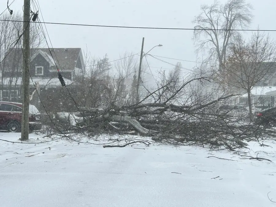 Most Quebec power outages fixed by Wednesday, but some to last indefinitely