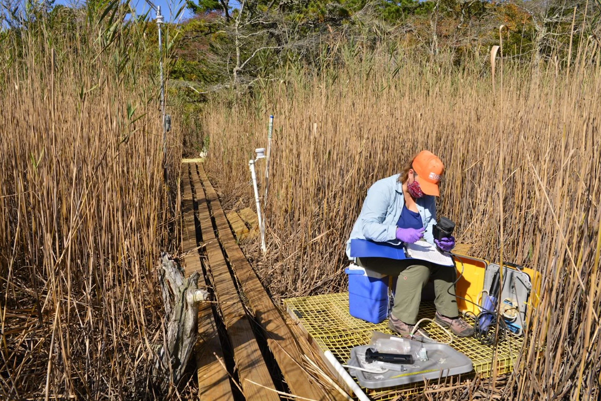 Answer to high ocean acidity may lie in carbon transfer from wetlands