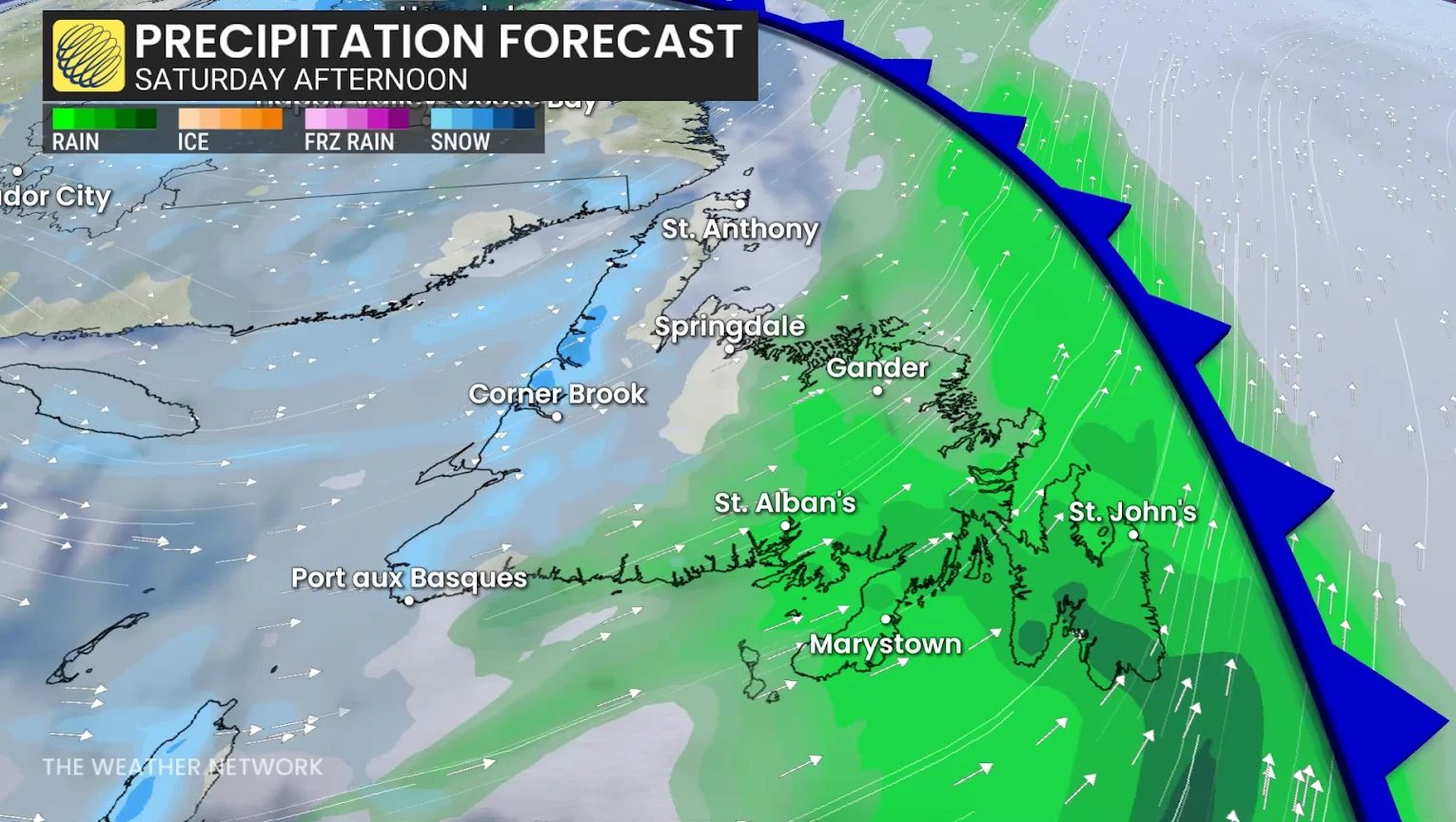 Newfoundland, Wind, Rain, Precipitation, Forecast, Gust, December 20, 2025. (The Weather Network)