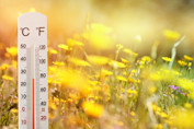 Ontario: Humidex values could approach 40, heat warnings issued