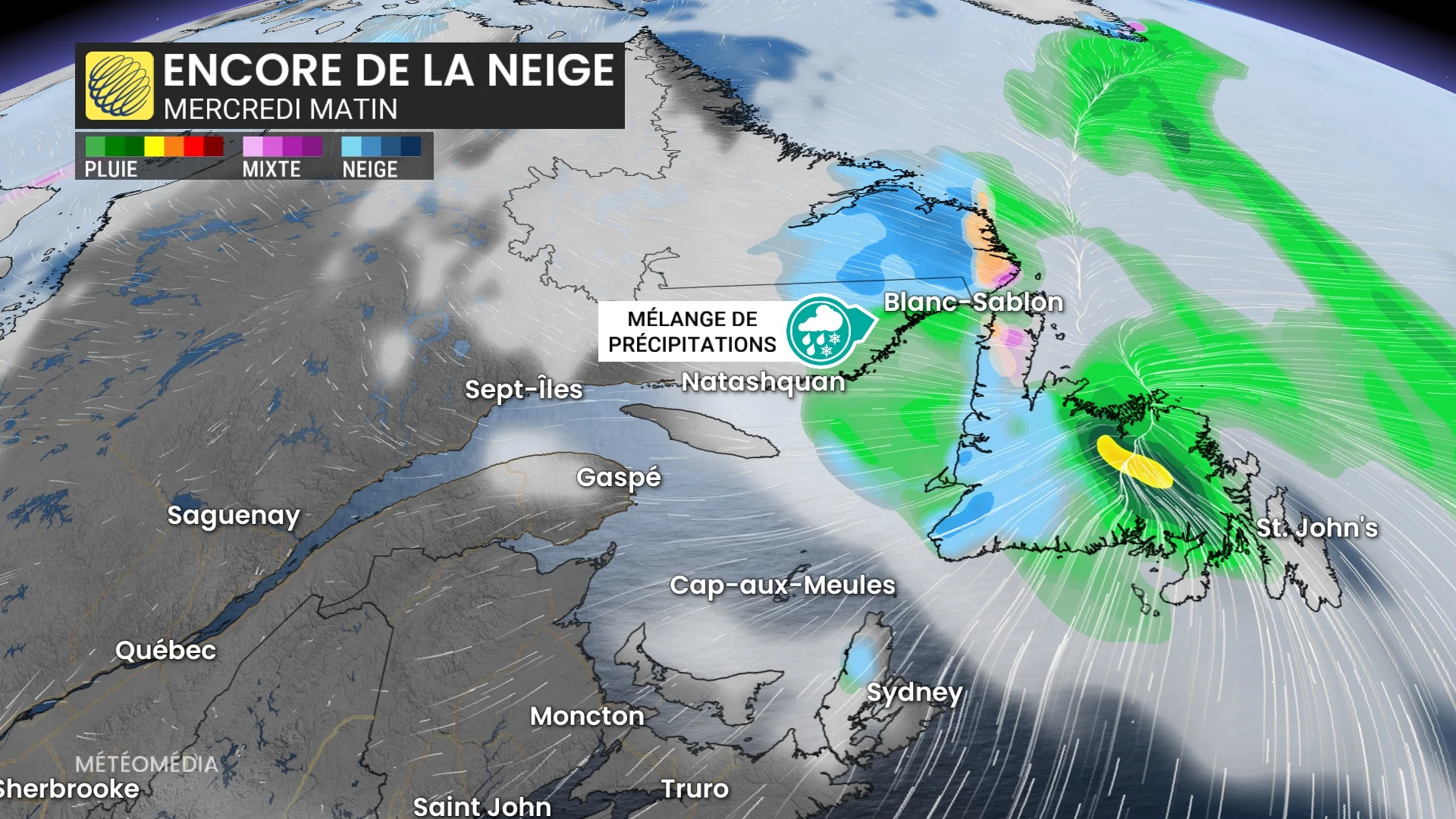 NEIGE 1