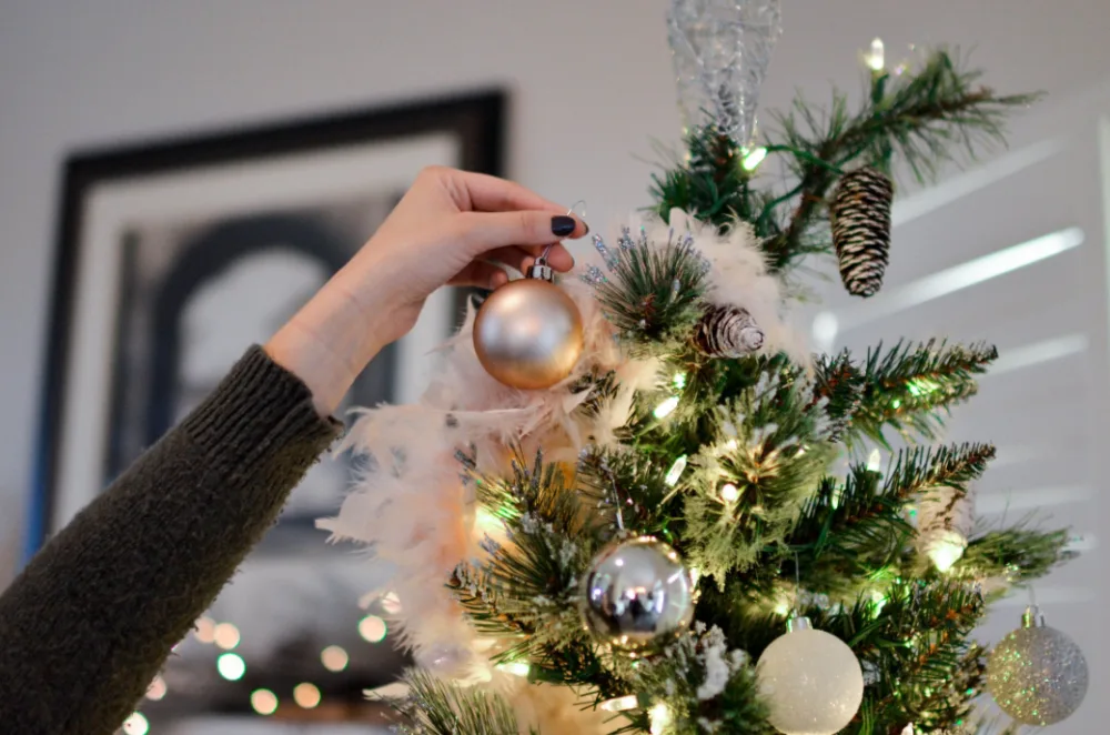 Real vs. fake: What's the most environmentally-friendly Christmas tree?
