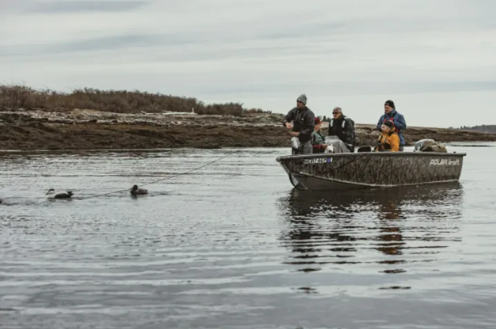 cbc ducks boat