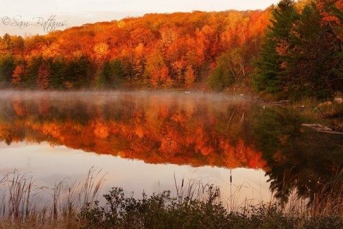 Fall brings brisk mornings, fall colors and … fish