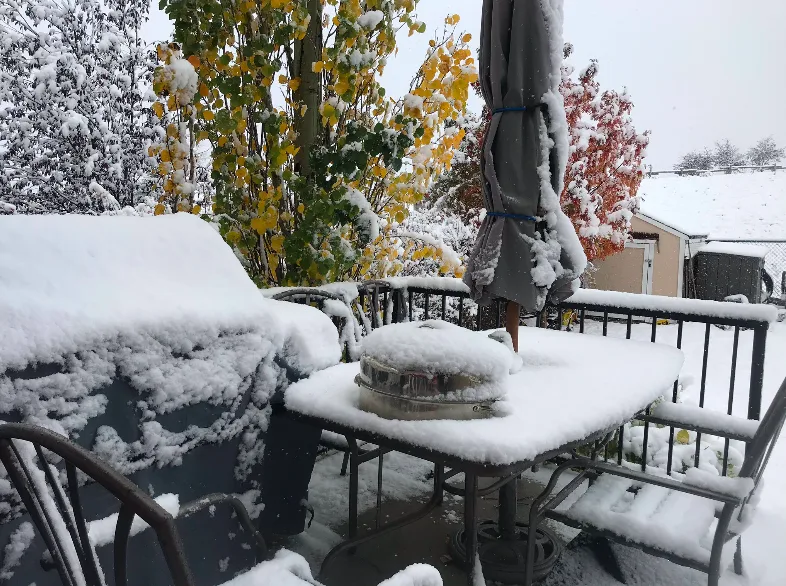 Snow interrupts Thanksgiving festivities in Calgary and parts of B.C.
