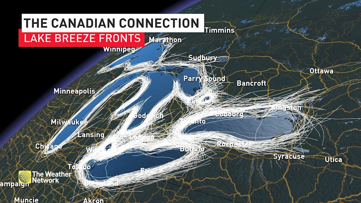 Meet Hector, the massive thunderstorm that shows up every day The Weather Network