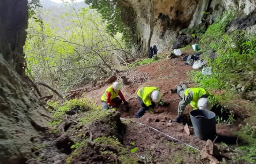 Excavation - coins