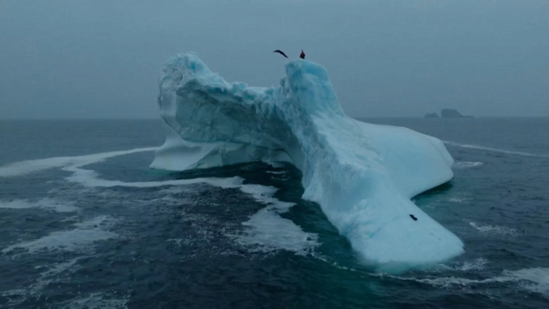 iceberg canadienne