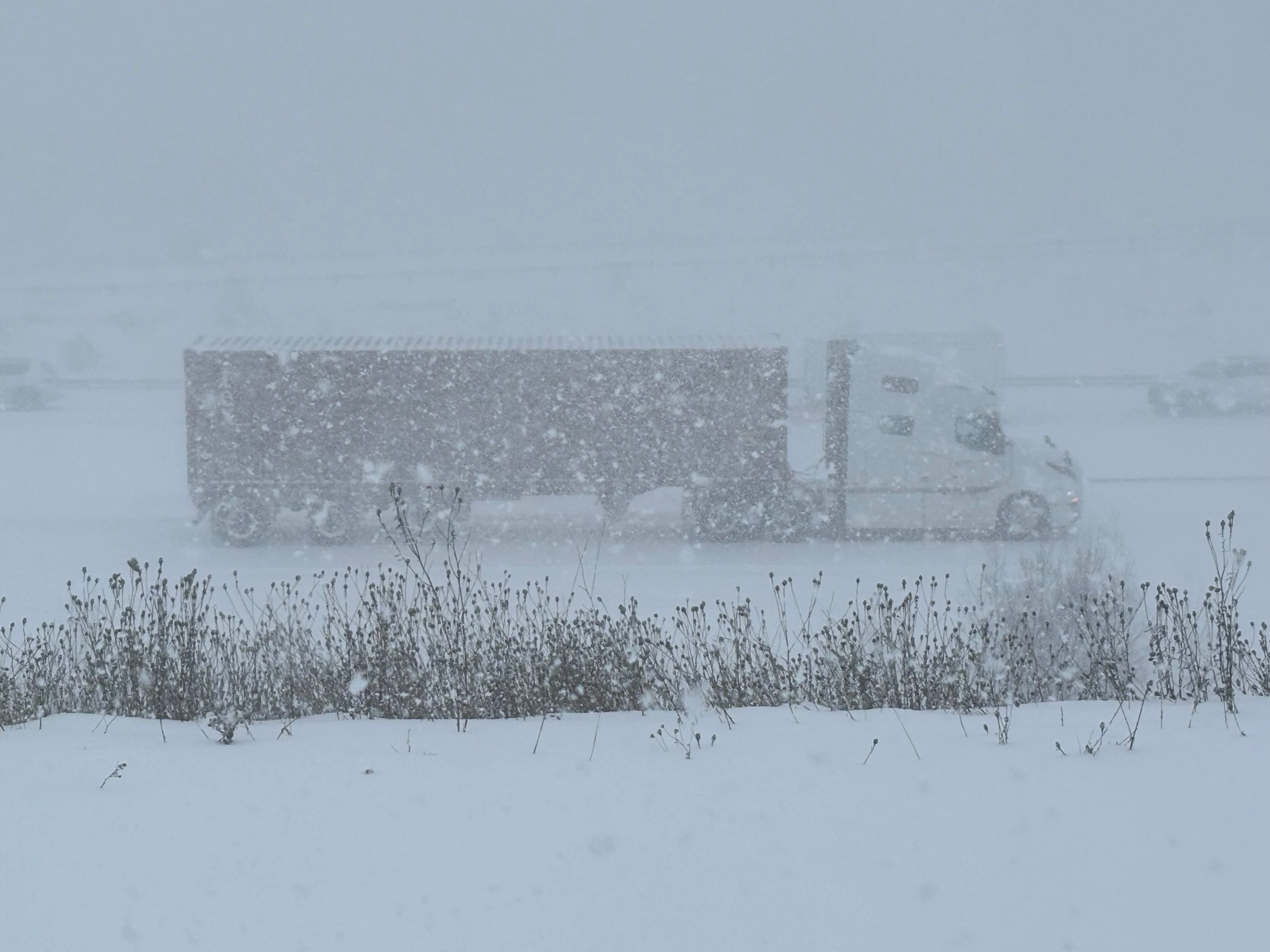 NS snow - nathan coleman