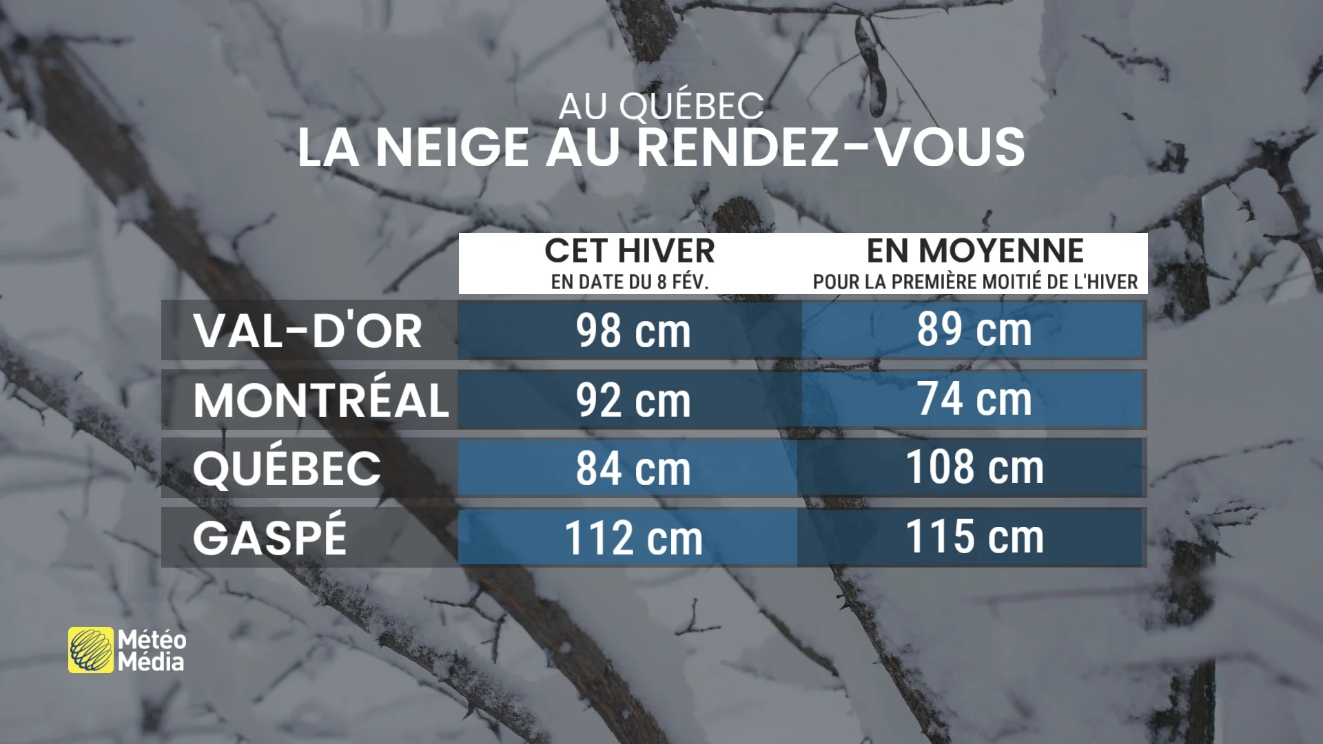 NEIGE5 (3)