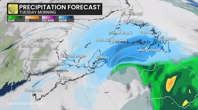 Closures rack up as major winter storm wallops Atlantic Canada - The ...