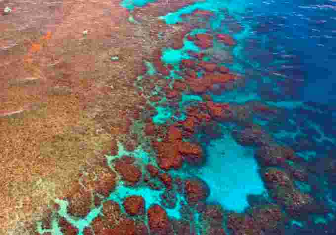 Grande barrière de corail, Australie.  Crédit: Pixabay