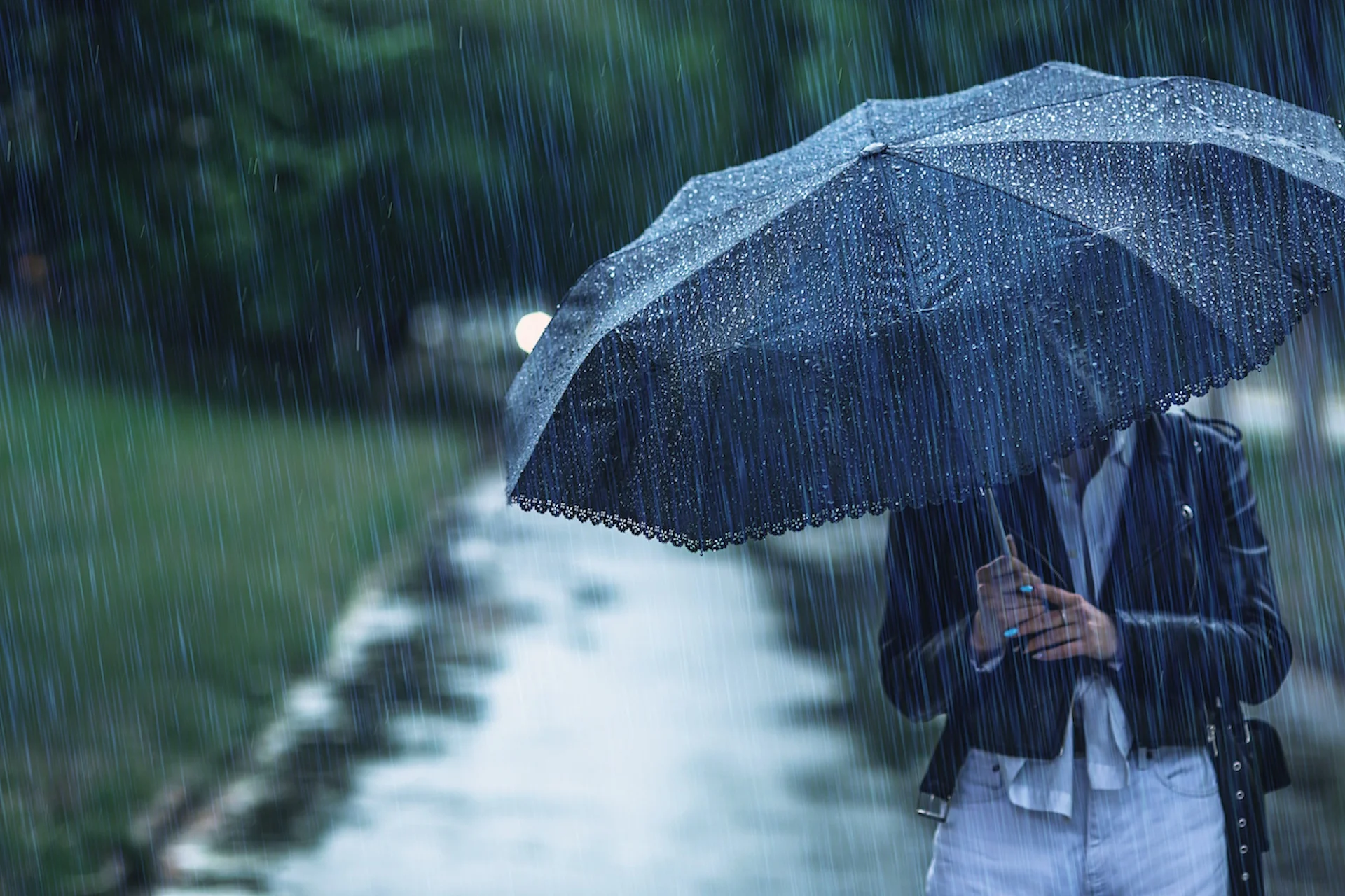 Waterloo's weather forecast for March 14 Rainy The Weather Network