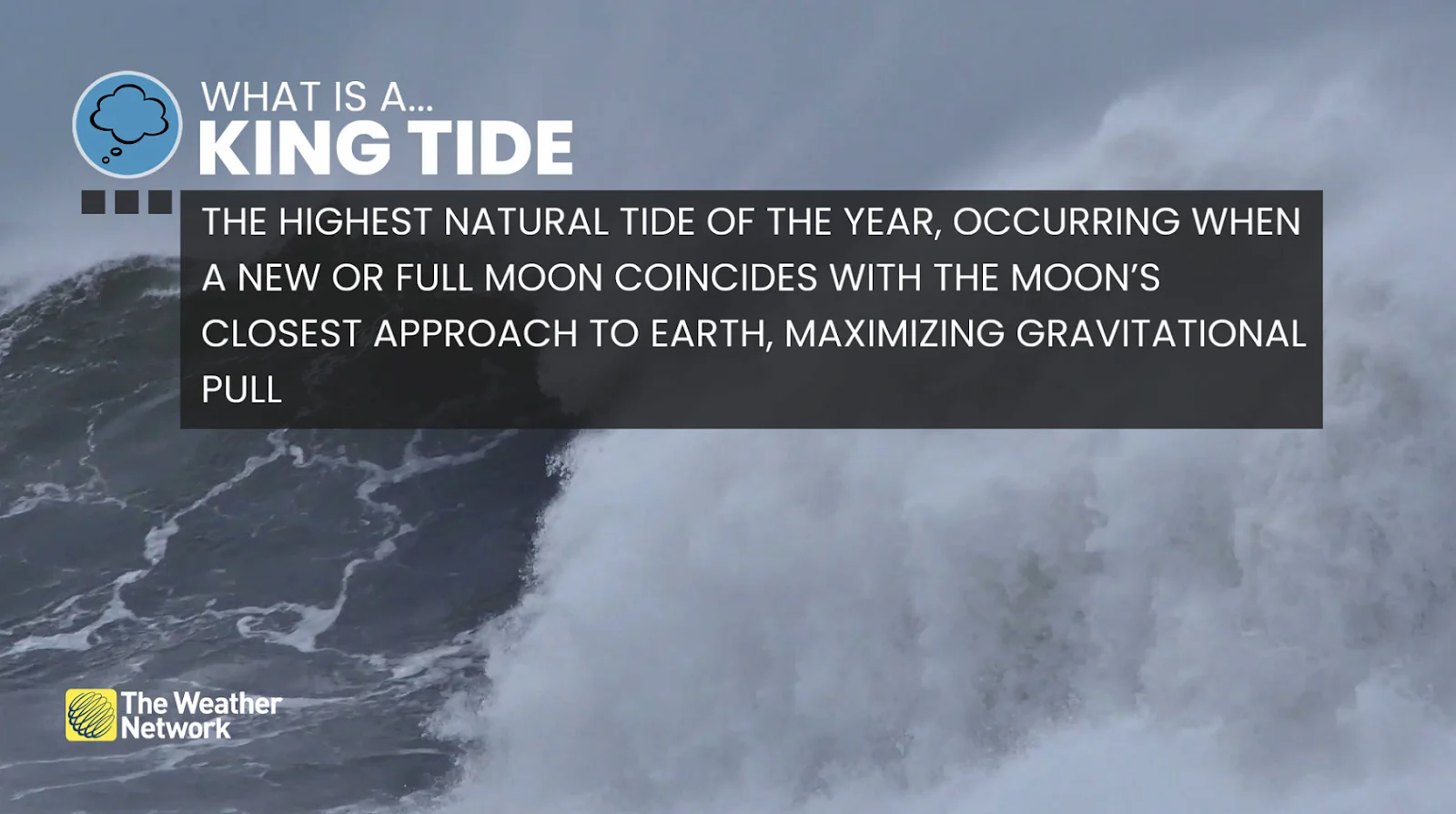 B.C, King Tide, Flooding, Water, Coastal, Flood, Storm, Jan. 03, 2026. (The Weather Network/Tyler Hamilton)
