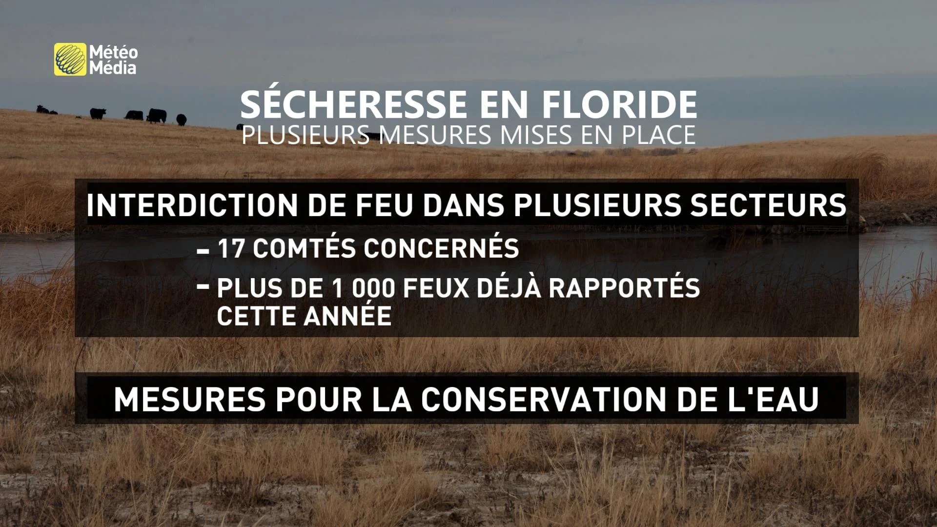 FLORIDE4-MESURE SECHERESSE