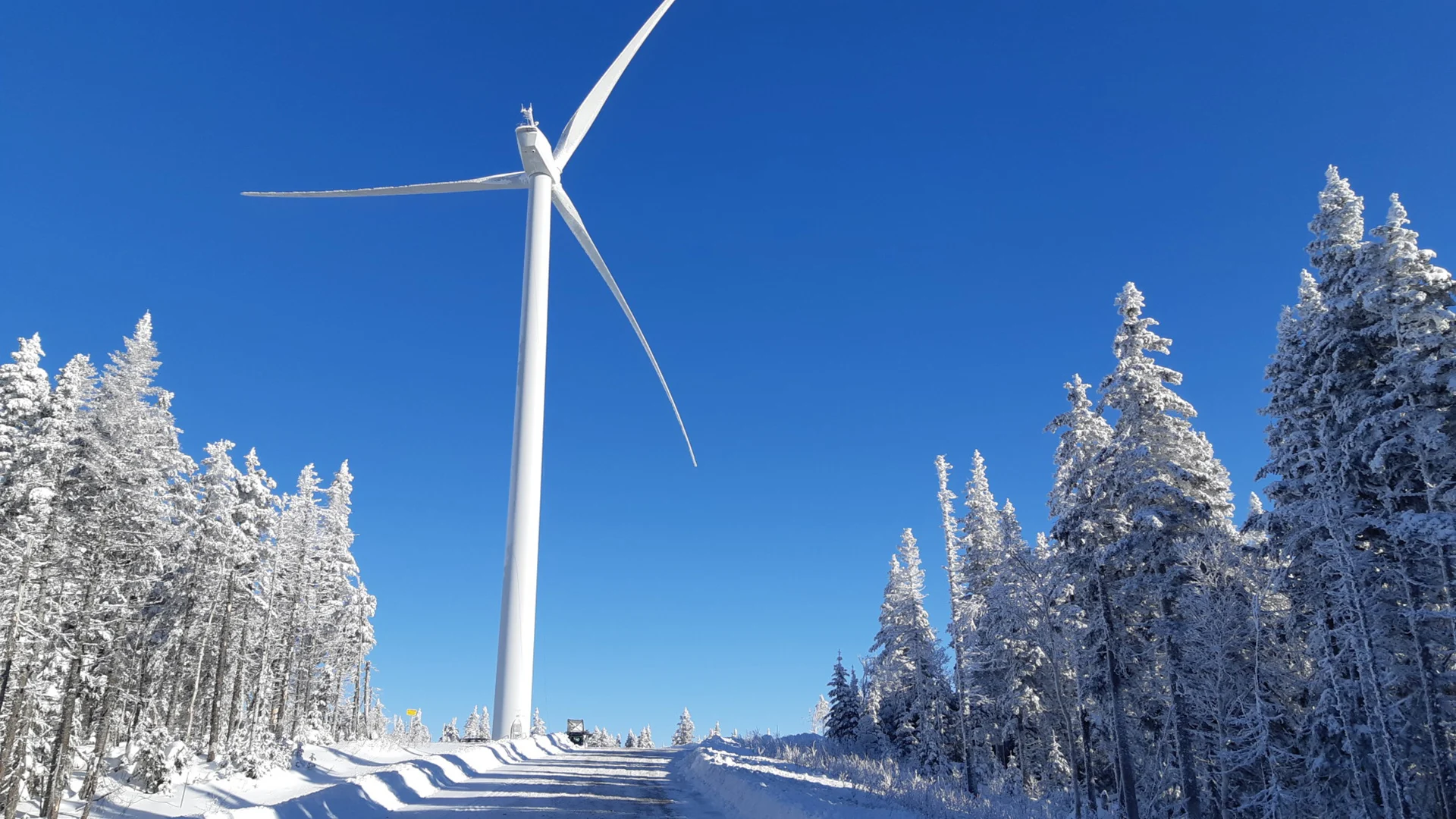 Ice can be a problem for wind turbines. Here's a Canadian company's solution