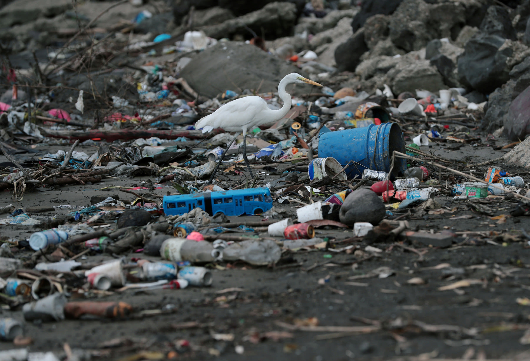 Экологическая катастрофа пластик