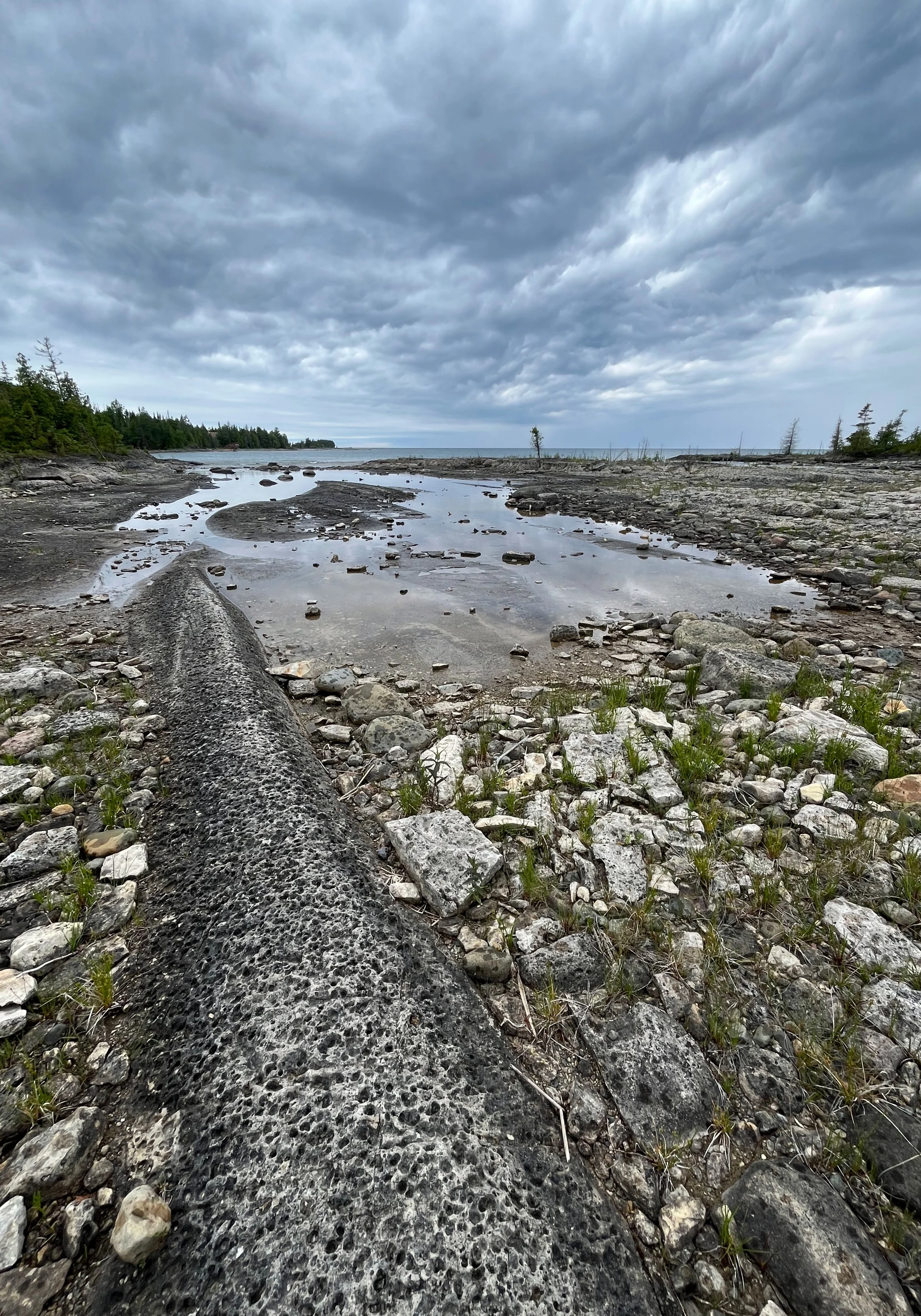 China Cove shoreline/Esme Batten/Nature Conservancy of Canada (NCC)/Submitted