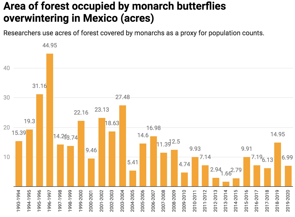Monarch butterfly migration: Chart: The Conversation, CC-BY-ND Source: World Wildlife Fund-Mexico Get the data