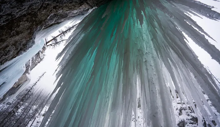 The science behind these 'alien-like' ice formations