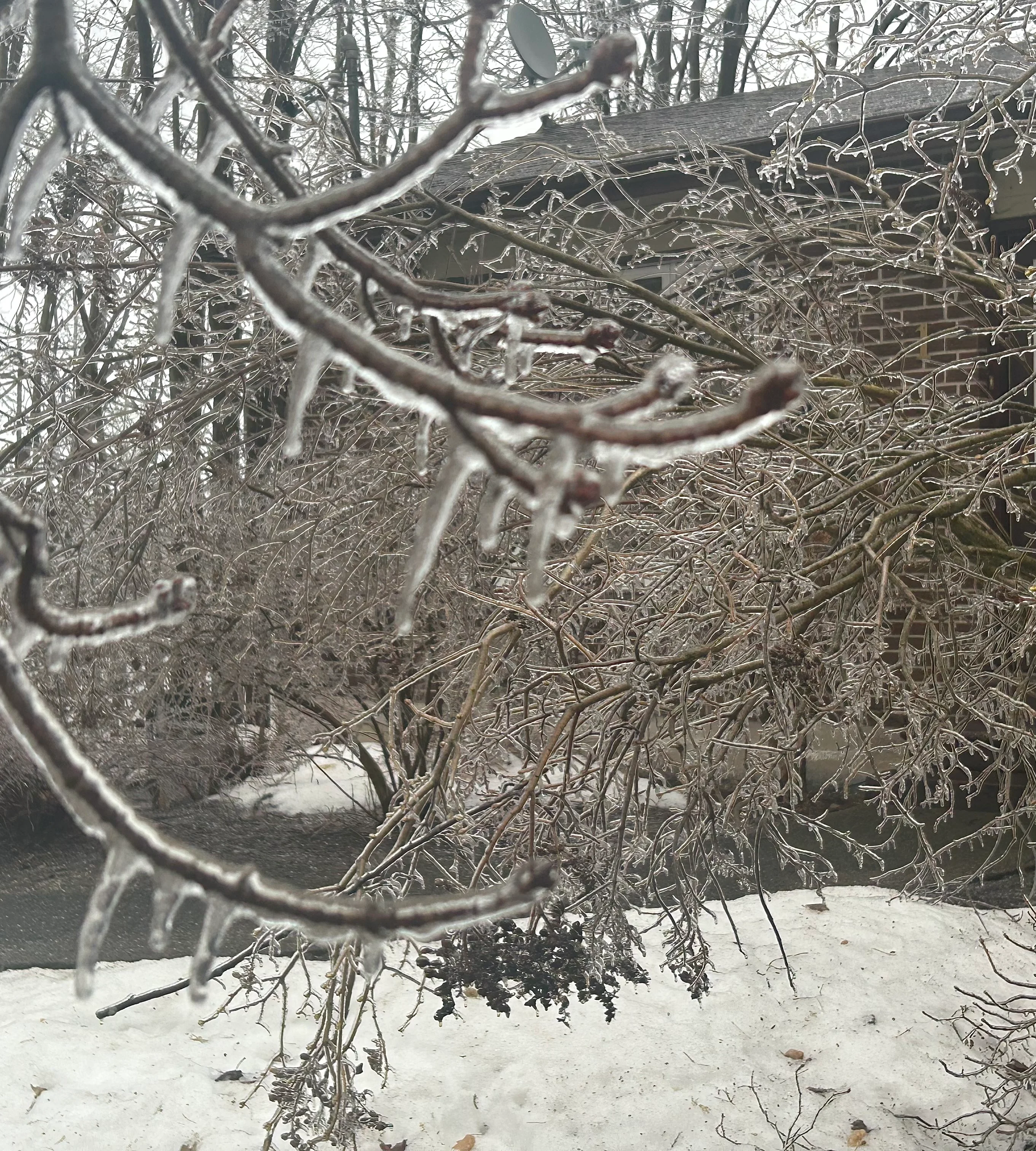 Orillia, Ont., ice storm damage/Nathan Howes/TWN