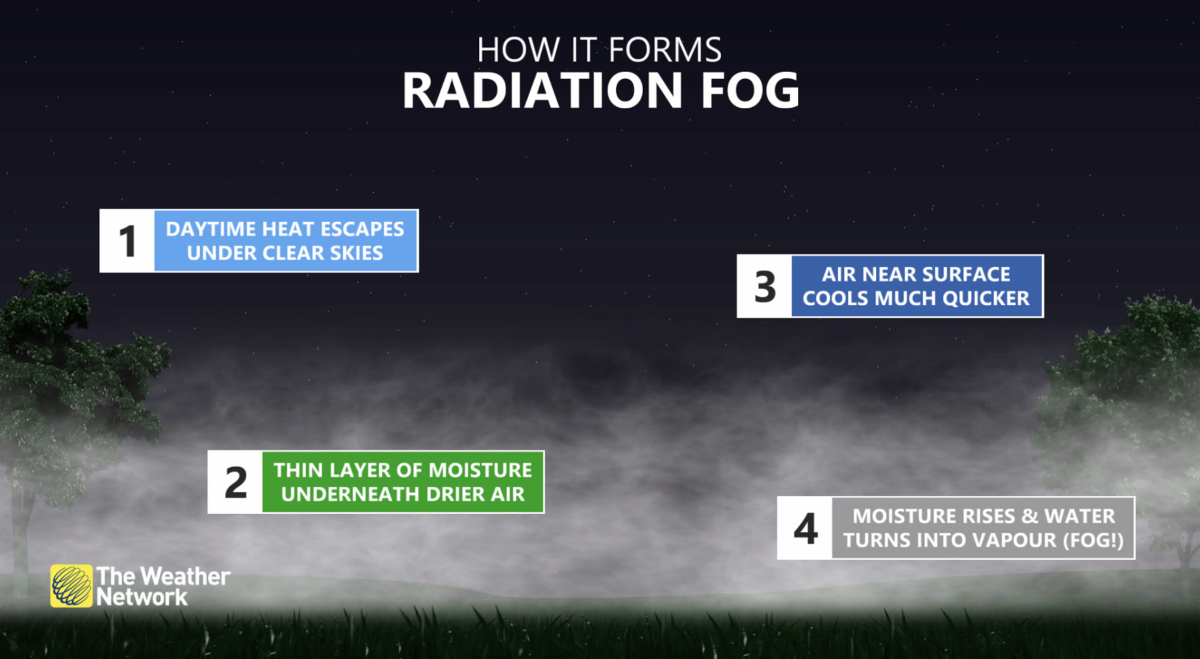 Radiation Fog Explainer