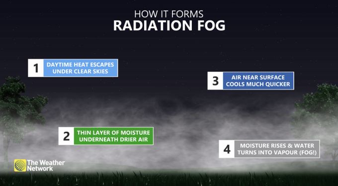 Radiation Fog Explainer