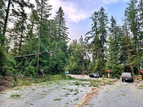 Power Restorations Continue After Powerful Bomb Cyclone Batters B.C ...