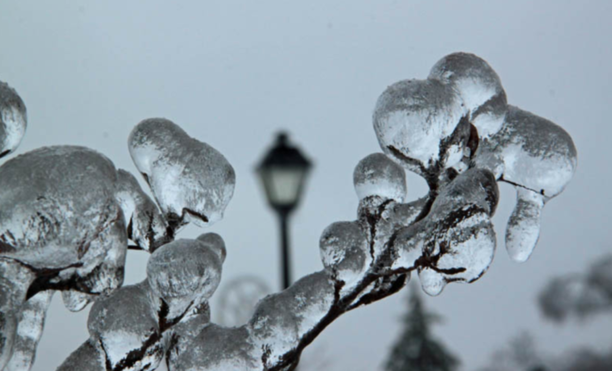 The ice storm of 2013 was a nightmare before, during & after Christmas