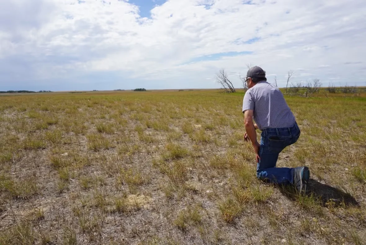 ian-mccreary-in-barren-hay-field/Shannon McCreary via CBC