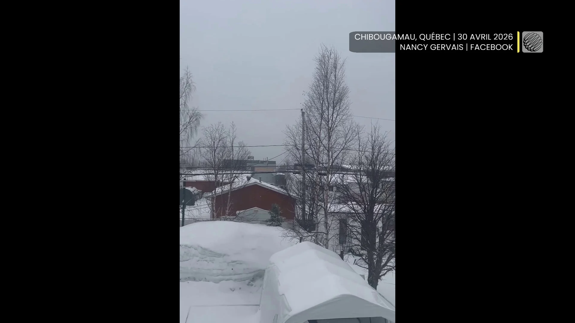 NEIGE1.1