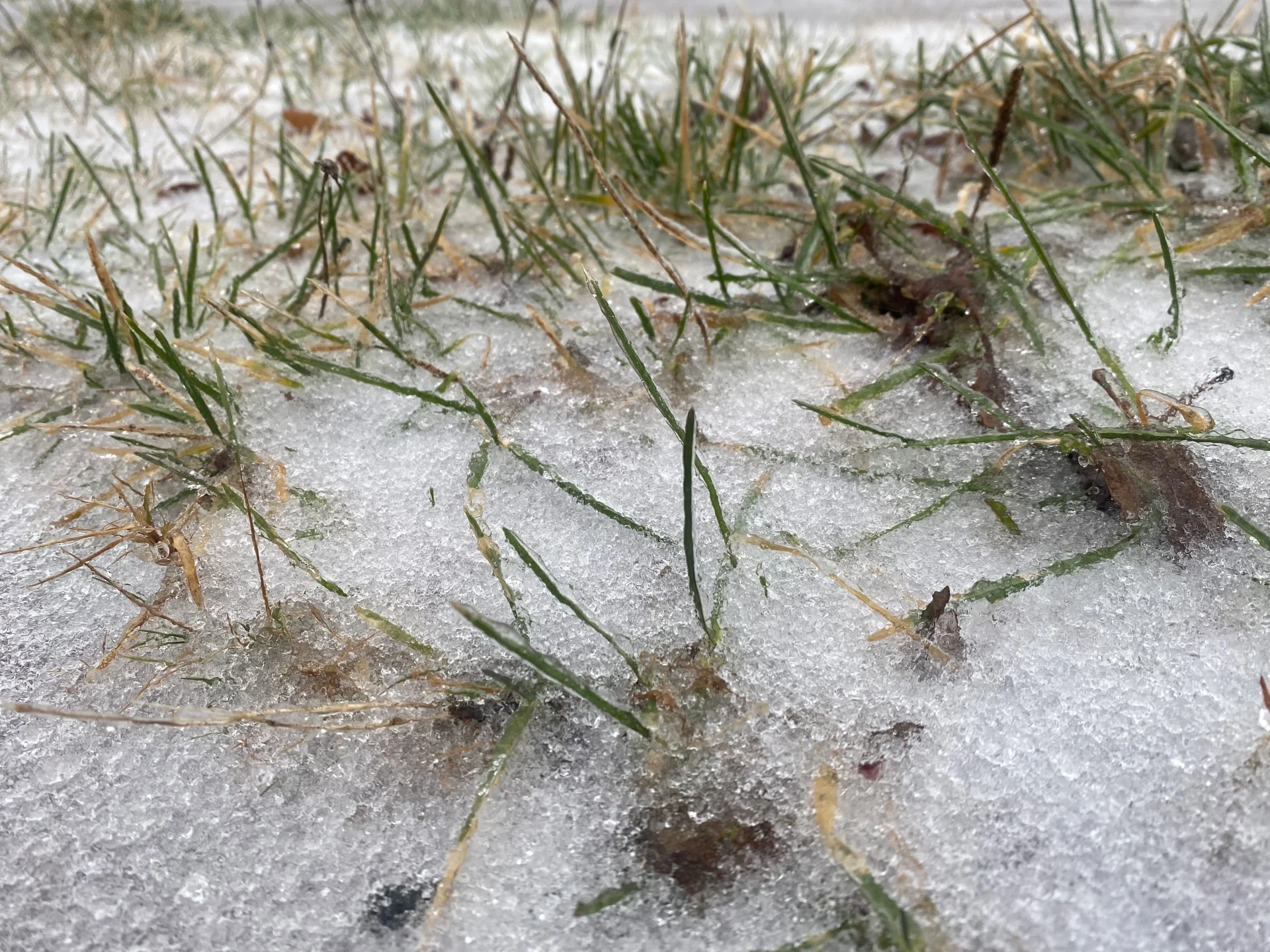 High-powered storm brings power outages, school closures to Atlantic Canada