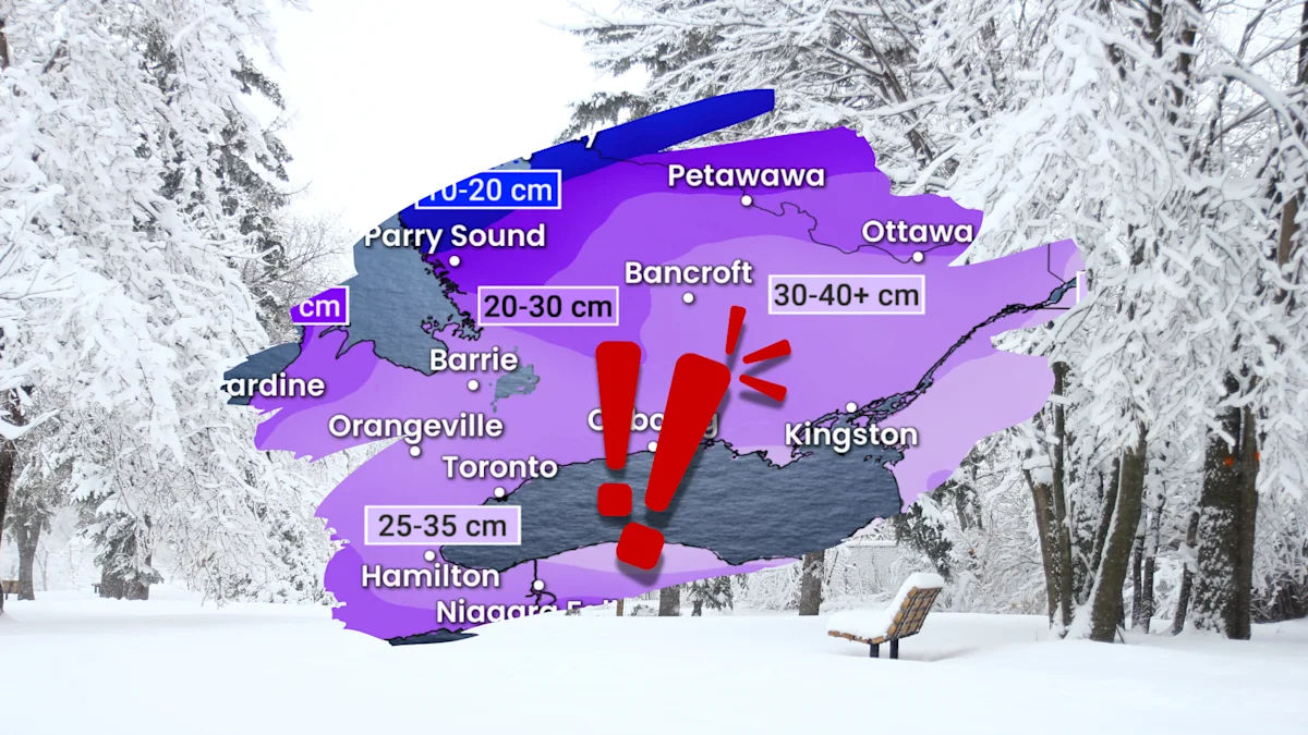 Prepare for 2535+ cm of snow with possible whiteout conditions The