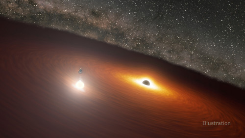 Astronomers detect the closest example yet of a black hole devouring a star, MIT News