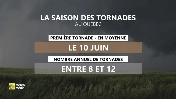 TORNADE4 (4)