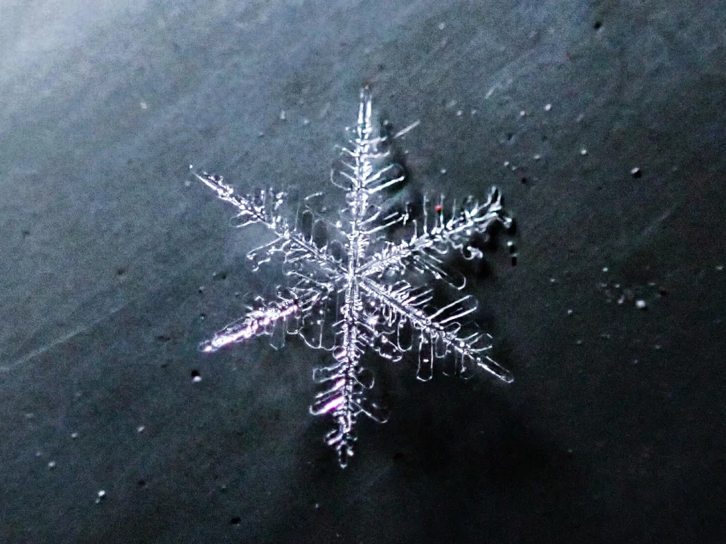 Snowflake 3: Courtesy of Kyle Brittain