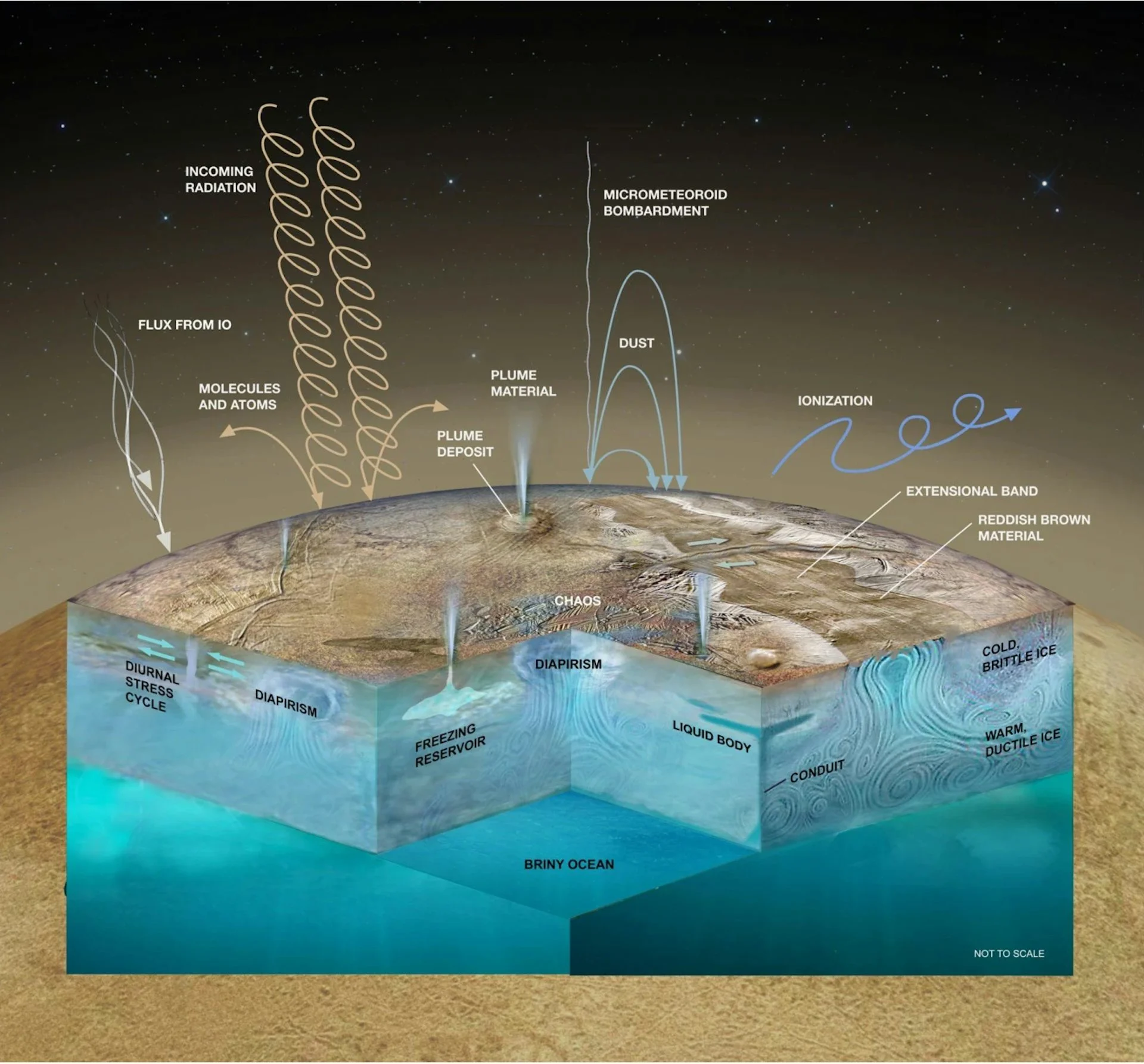 Europa - Internal Processes diagram